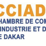 Logo-CCIAD